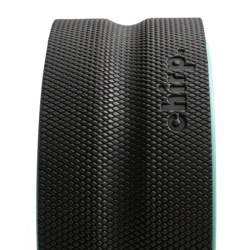 CHIRP 25,4 cm Wheel Plus Fest