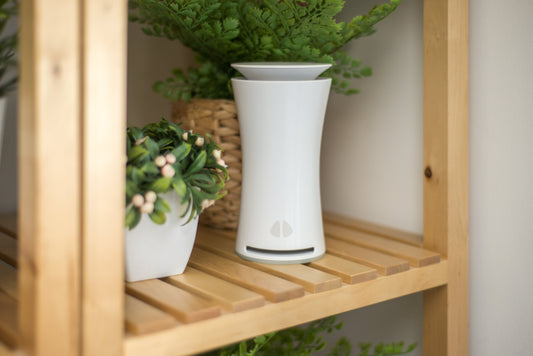 4 Methoden, um die Luftqualität zu verbessern