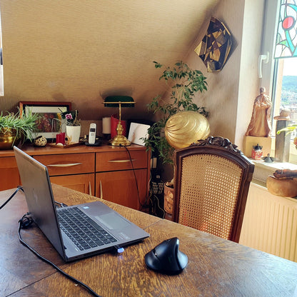 ERGOLEBEN VM Maus kabellos - links - medium