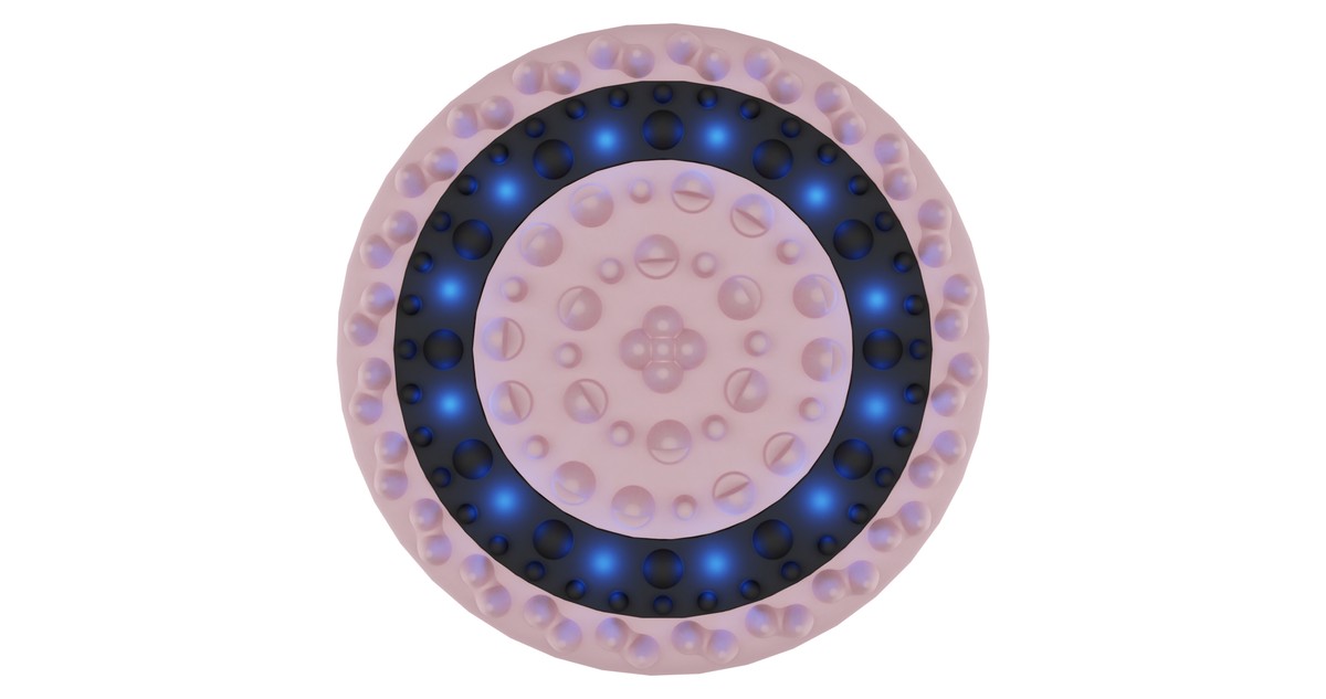 BEAUTIFLY B-Body Anti-Cellulite Handmassagegeraet