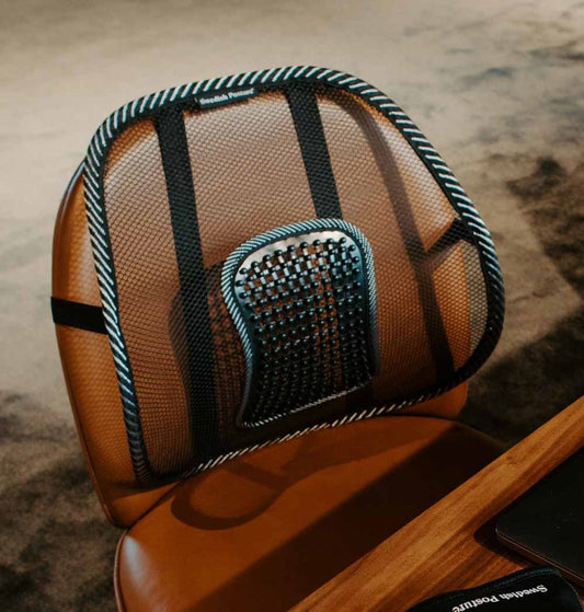 SWEDISH POSTURE Rückenlehne Lendenwirbelstütze