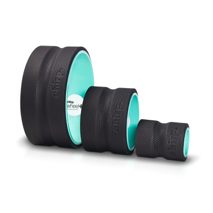 CHIRP Wheel 3er-Pack 10,16 cm / 15,24 cm / 25,4 cm