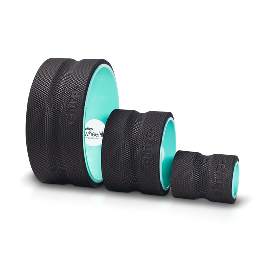 CHIRP Wheel 3er-Pack 10,16 cm / 15,24 cm / 25,4 cm