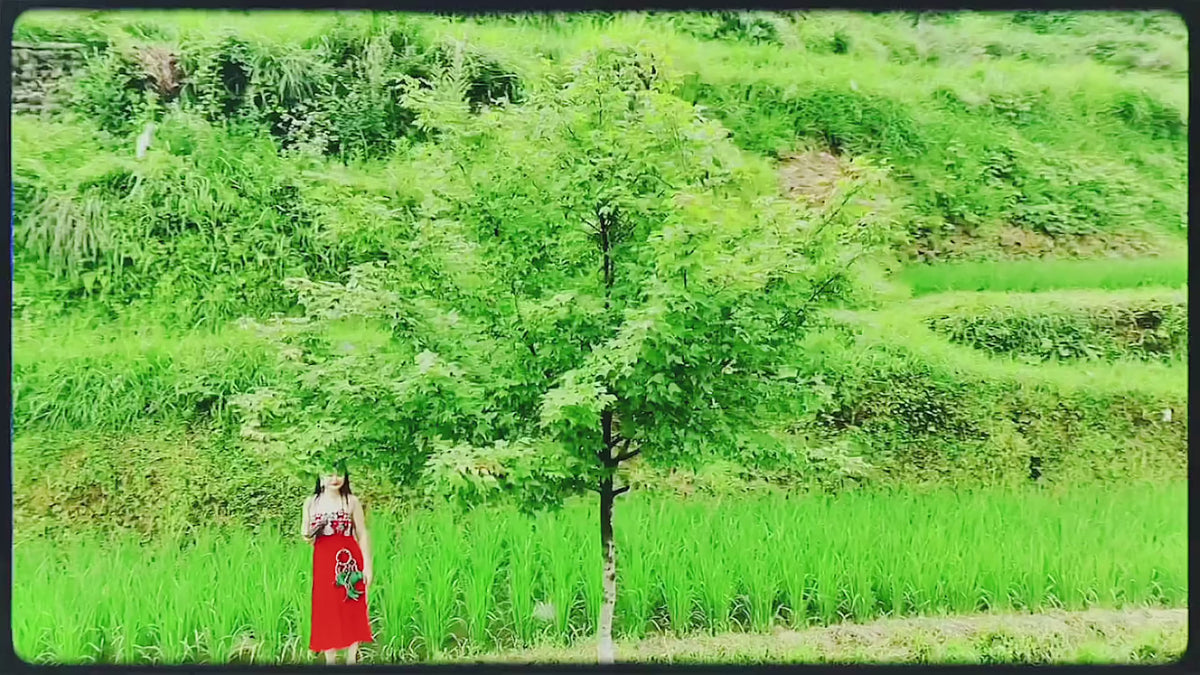 Video laden: 